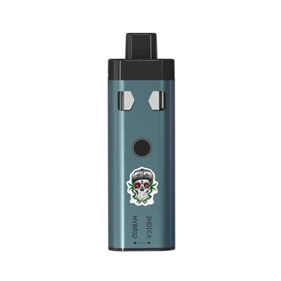 Green Time 2 в одном двухкамерном CBD Vape перезаряжаемое все в одном устройстве предварительный нагрев двойной одноразовой вейп-ручки